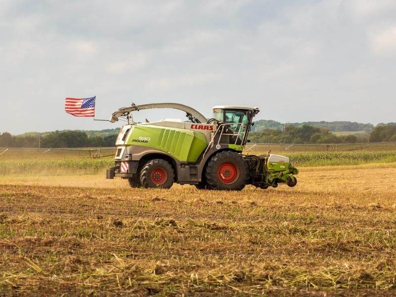 Rookie Farmers industrial hemp harvest