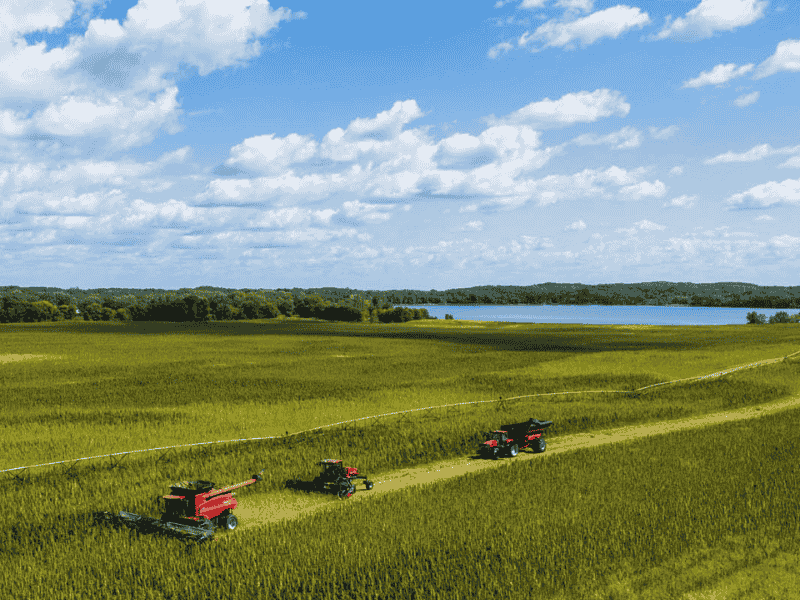 Rookie Farmers Minnesota Farm